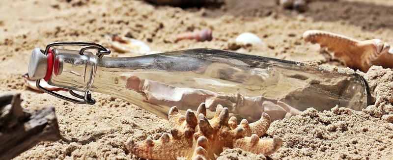 Glass Bottle Terrarium
